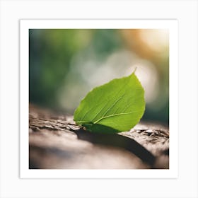 Green Leaf On A Tree Art Print