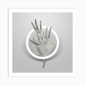 Vintage Swamp Paperbark Branch Minimalist Botanical Geometric Circle on Soft Gray n.0103 Art Print