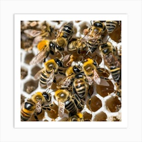 Bees On A Honeycomb 3 Art Print