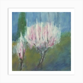 Apricot Blossom Art Print