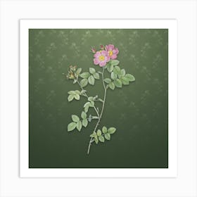 Vintage Pink Sweetbriar Roses Botanical on Lunar Green Pattern Art Print