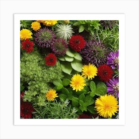 Herb Garden Art Print