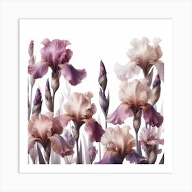 Mauve Flowers of Irise 2 Art Print