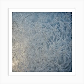 Frosty Window Art Print