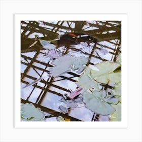 Lily Pond 1 Art Print