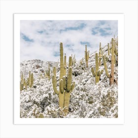 Snowy Desert Hillside Art Print