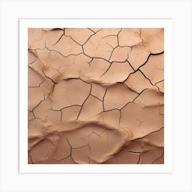 Cracked Earth 8 Art Print