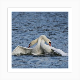 Swans In Flight Art Print