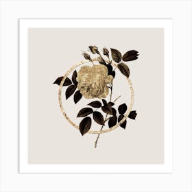 Gold Ring Rosa Indica Glitter Botanical Illustration n.0276 Art Print