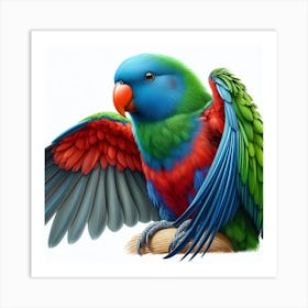 Parrot of Eclectus 1 Art Print