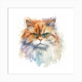 Domestic Shorthair Persian Cat Portrait 1 Art Print