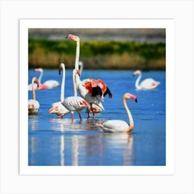 Flamingos In The Water Art Print