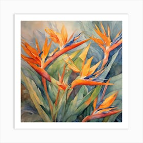 Bird Of Paradise Art Print