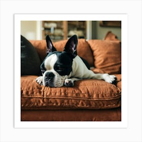 Boston Terrier Sleeping On The Couch (2) Art Print