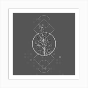Vintage Adam's Needle Botanical with Line Motif and Dot Pattern in Ghost Gray n.0218 Art Print