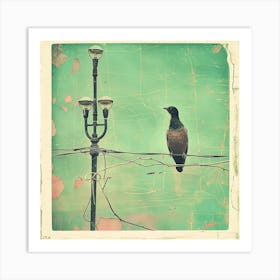 Painted Birds Hate Street Art Art Print