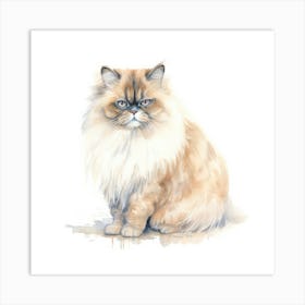 Persian Himalayan Cat Portrait Art Print