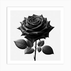 Black Rose 6 Art Print