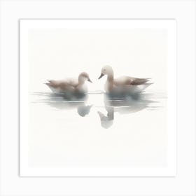 Two Ducks In The Water Art Print