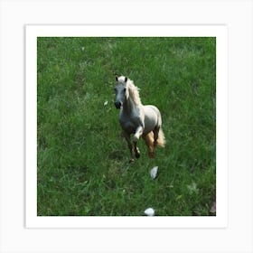 Horse Running In The Grass Art Print