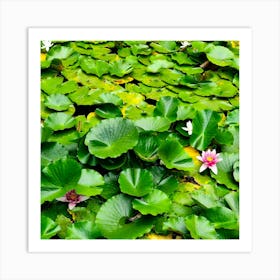 Water Lilies 2 Art Print