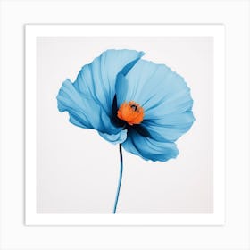 Blue Poppy Art Print