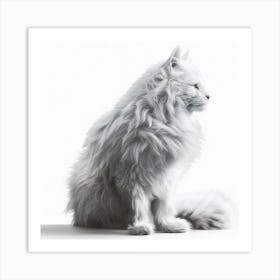 White Cat Art Print