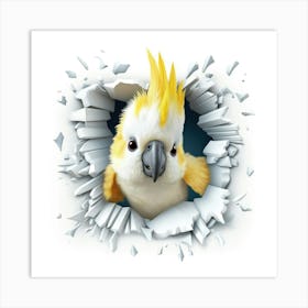 Cockatoo 1 Art Print