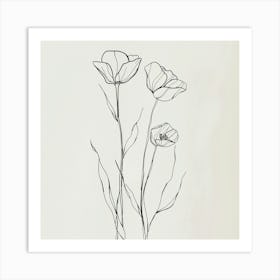 Line Art Poppies Art Print