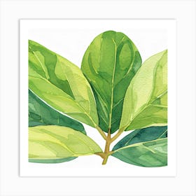 Green Leaves Watercolor Painting Art Print