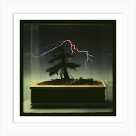 bonsai 10 Art Print