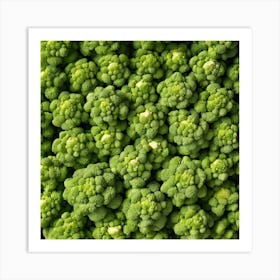 Close Up Of Green Broccoli 4 Art Print