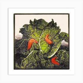 Three Slugs On A Cabbage, Julie De Graag Art Print