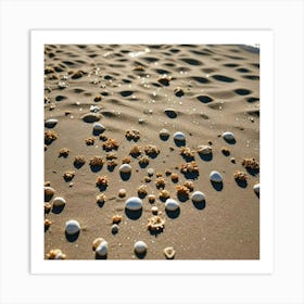 Sand, Beach, And Shells 1 Art Print