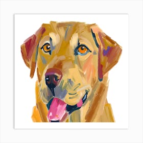 Labrador Retriever 04 Art Print