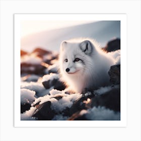 Arctic Fox 2 Art Print