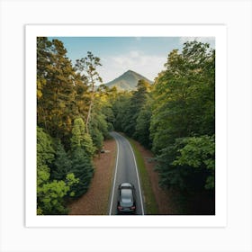 Driving Through A Lush Green Forest Art Print