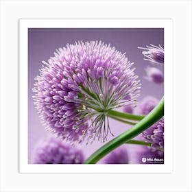 Allium 1 Art Print