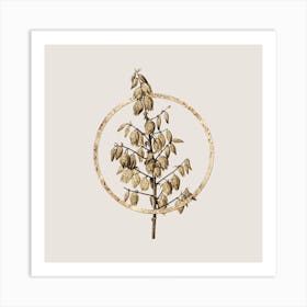 Gold Ring Adam's Needle Glitter Botanical Illustration n.0316 Art Print