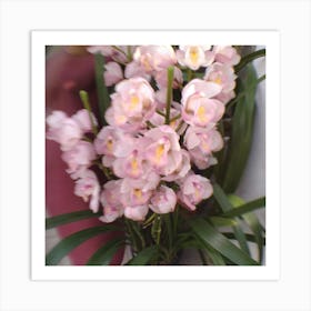 Pink Orchids Art Print