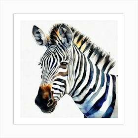 Zebra Watercolor Art Print