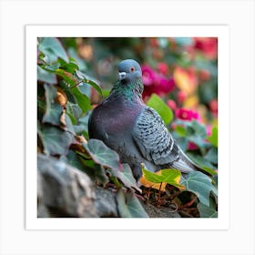 Pigeon 2 Art Print