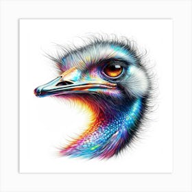 Ostrich Head Color Drawing - Wild Bird Artwork 119 Art Print