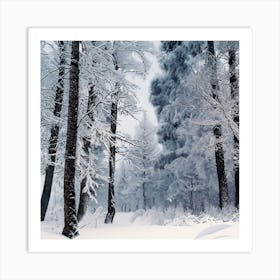 Winter Forest 2 Art Print