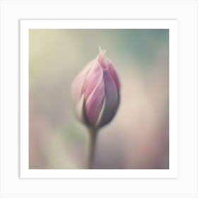 A Close Up Of A Delicate Flower Bud Just Beginning To Bloom, With Soft Petals And Hints Of Vibrant C (5) Art Print