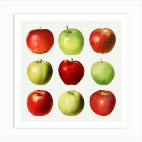 Apples On A White Background Art Print