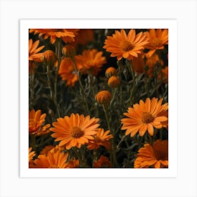 Orange Flowers Art Print