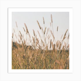 Sunrise Field Scenery Square Art Print