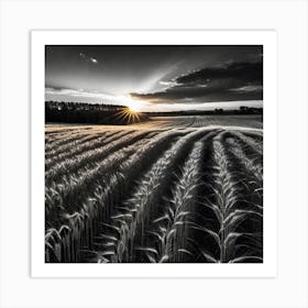 Sunset Over A Wheat Field 13 Art Print