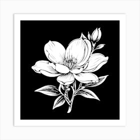 Magnolia Flower Art Print